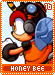 honeybee16